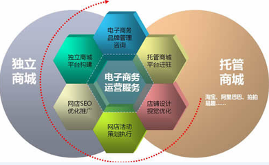 四川省廣元市電商（淘寶）高峰論壇會 電子商務運營服務的創新與實踐